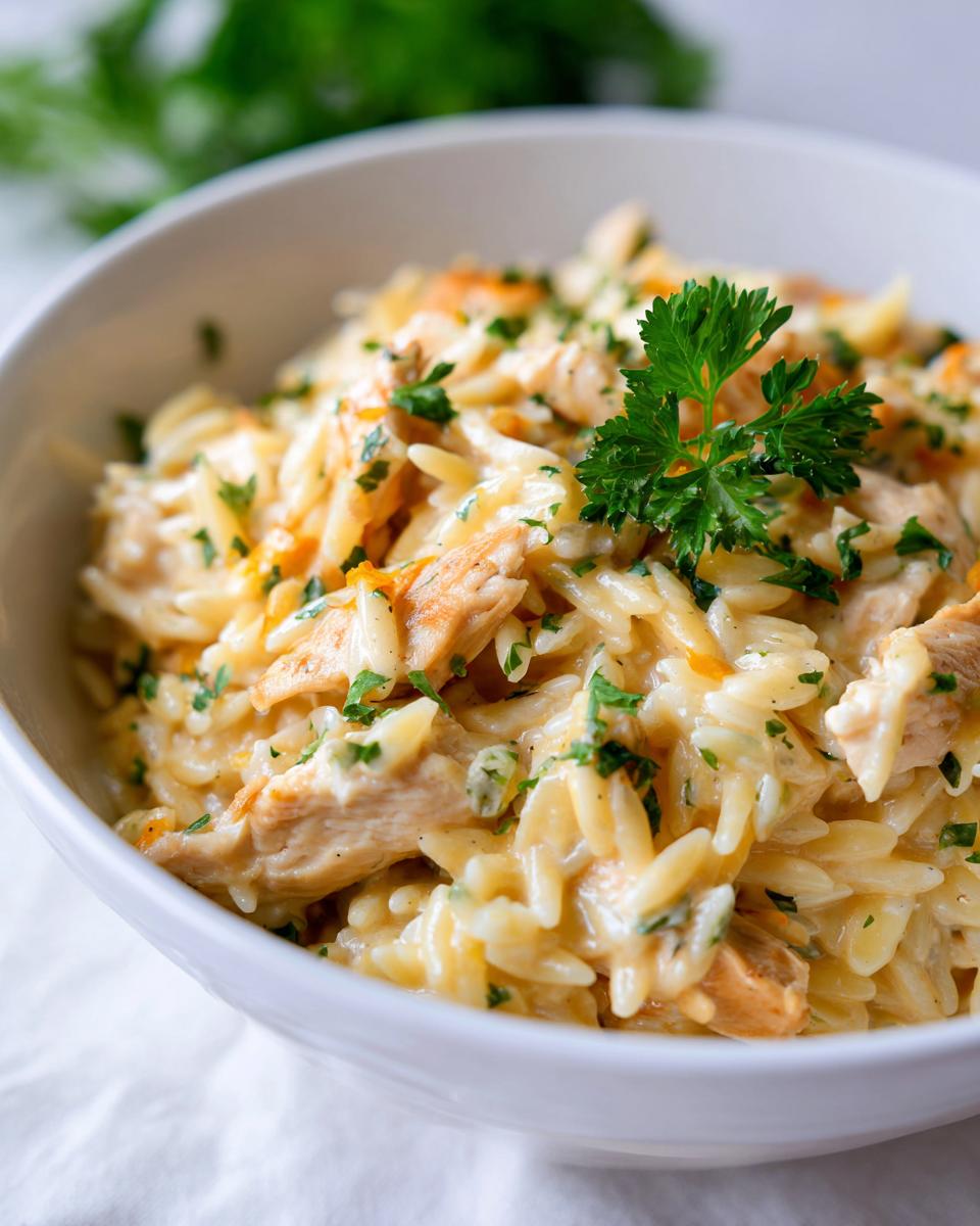 A close-up of a white bowl filled with creamy Boursin orzo pasta and tender chicken pieces, garnished with fresh parsley.