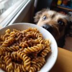 A bowl of High Protein Creamy Beef Pasta with fusilli noodles and a dog looking curiously at it.